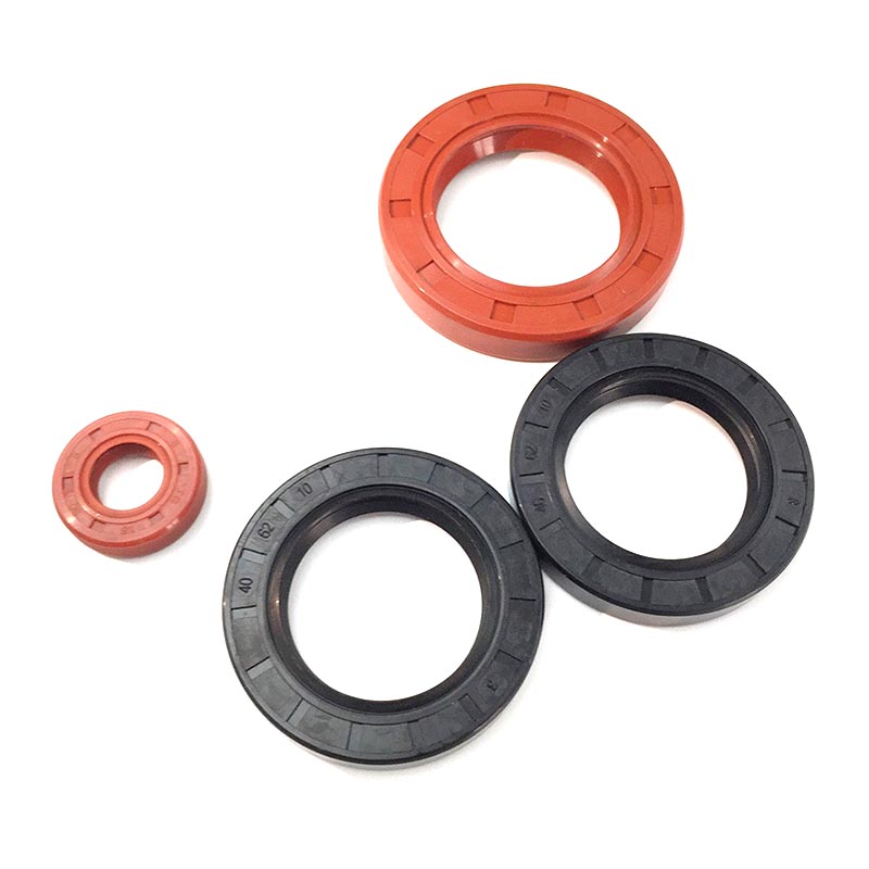 Ultimate heat resistance TC oil seal factory for chemical industry-2