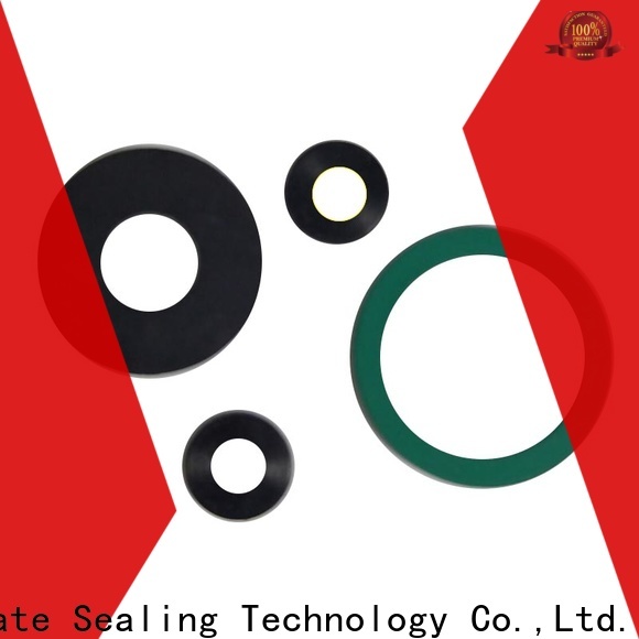 stable PTFE gasket design for machine industry