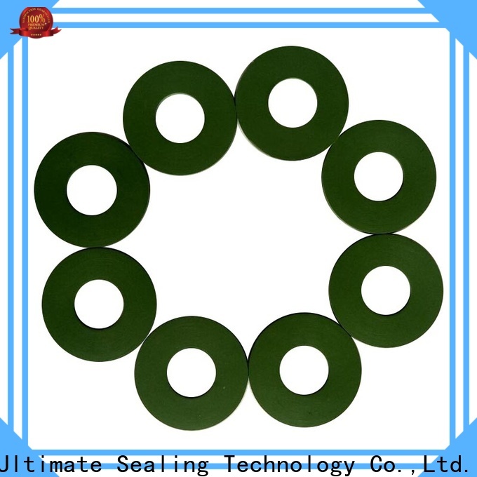 Ultimate long lasting FKM gasket with good price for sanitary