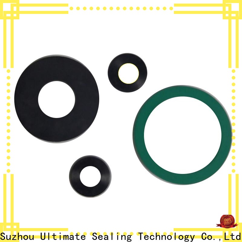 Ultimate efficient PTFE gasket with good price for sanitary