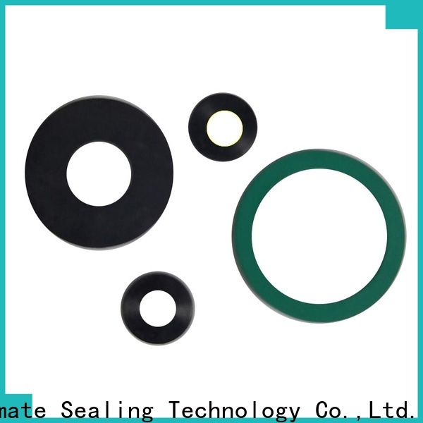 Ultimate FKM gasket with good price for sanitary